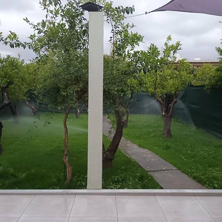 Olgas Cozy Home Chania  Luaran gambar